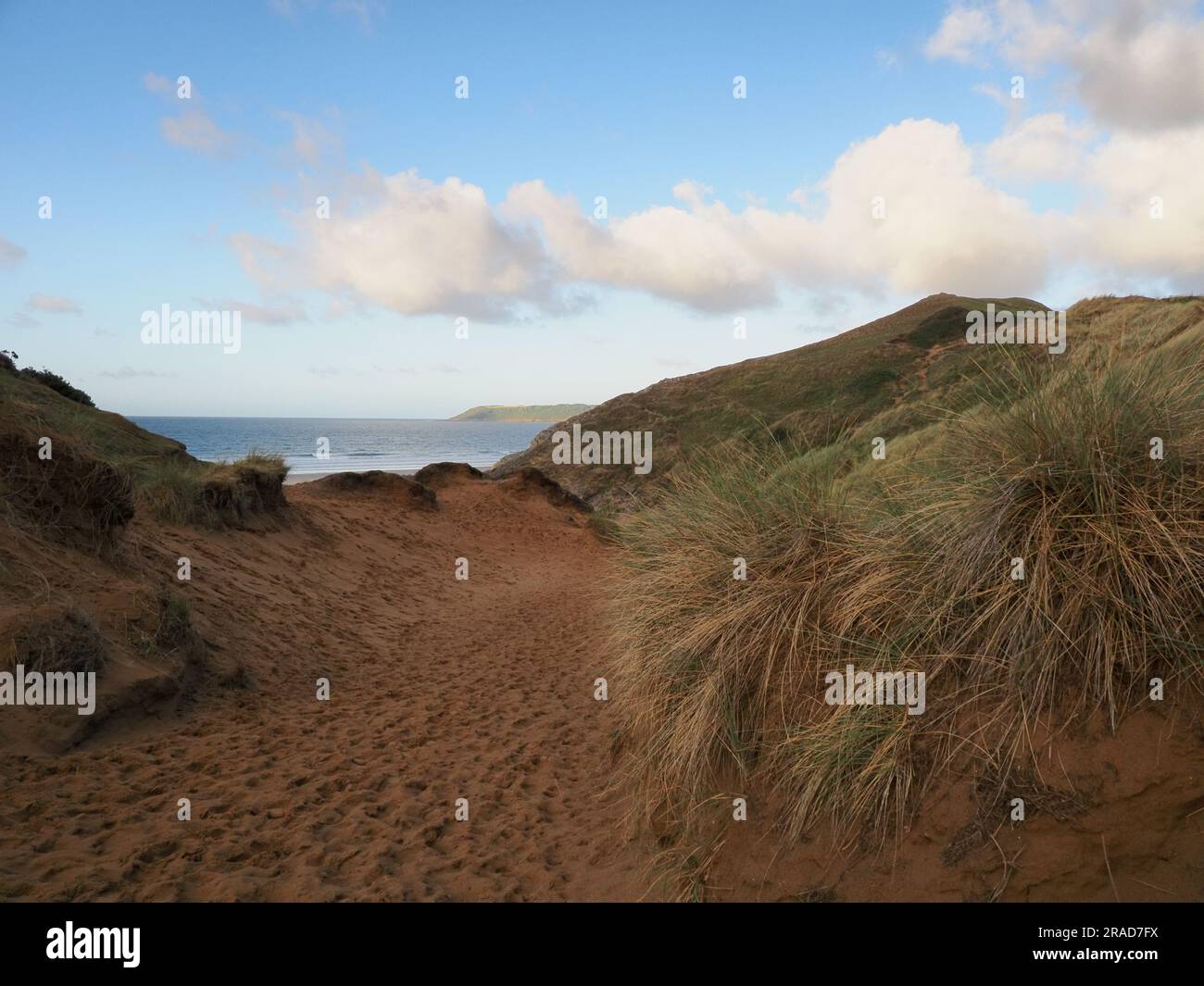 Pfad durch Sanddünen mit Maramgras, Gower-Halbinsel, Wales Stockfoto