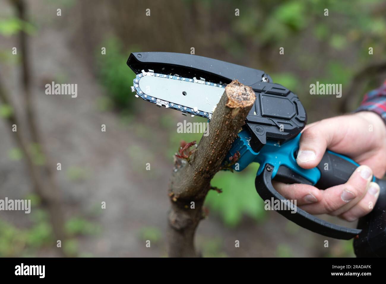 Halten Sie die leichte Motorsäge mit Batterie in der Hand, um einen gebrochenen Ast eines Baumes an sonnigen Tagen zu trimmen Stockfoto