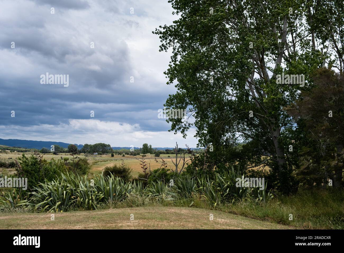 Toller Meerblick im Duder Regional Park östlich von Auckland auf der Nordinsel Neuseelands. Der Duder Regional Park liegt an der Tāmaki-Straße, im Golf von Hauraki. Stockfoto