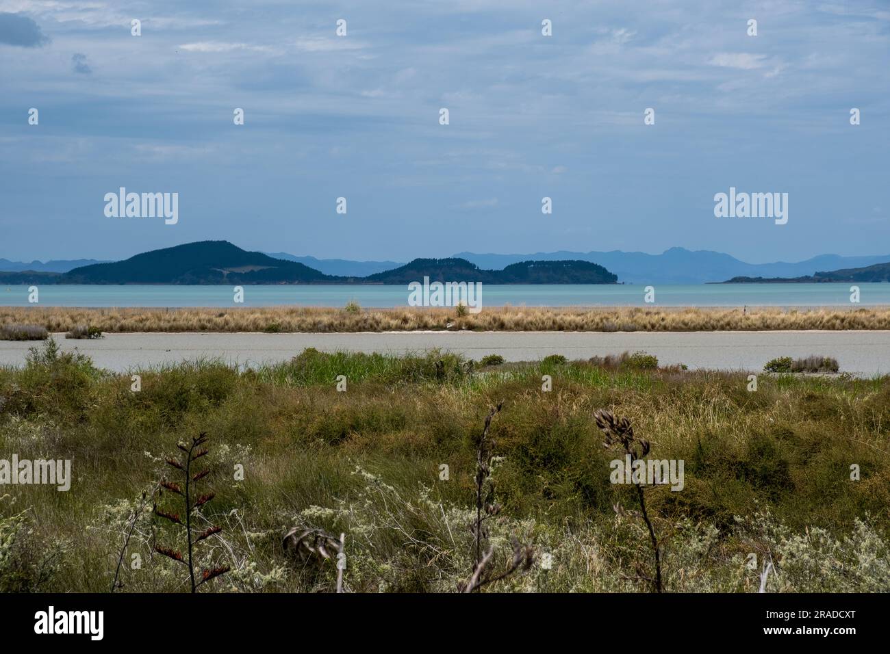 Toller Meerblick im Duder Regional Park östlich von Auckland auf der Nordinsel Neuseelands. Der Duder Regional Park liegt an der Tāmaki-Straße, im Golf von Hauraki. Stockfoto
