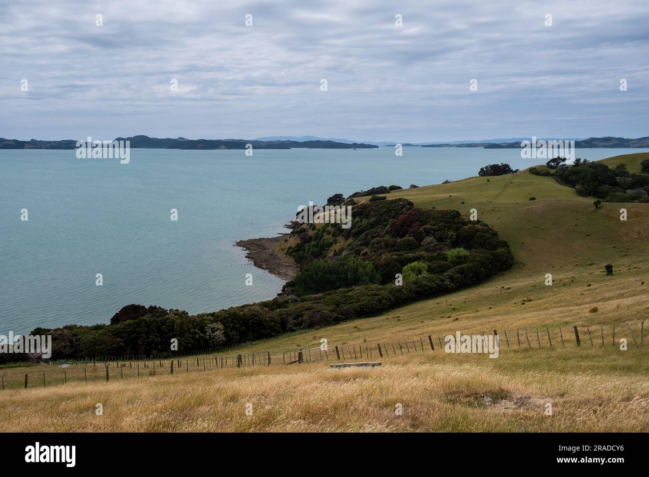 Toller Meerblick im Duder Regional Park östlich von Auckland auf der Nordinsel Neuseelands. Der Duder Regional Park liegt an der Tāmaki-Straße, im Golf von Hauraki. Stockfoto