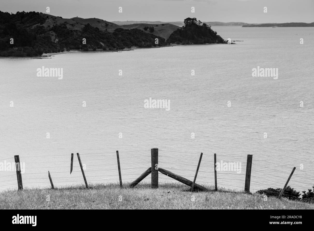 Toller Meerblick im Duder Regional Park östlich von Auckland auf der Nordinsel Neuseelands. Der Duder Regional Park liegt an der Tāmaki-Straße, im Golf von Hauraki. Stockfoto