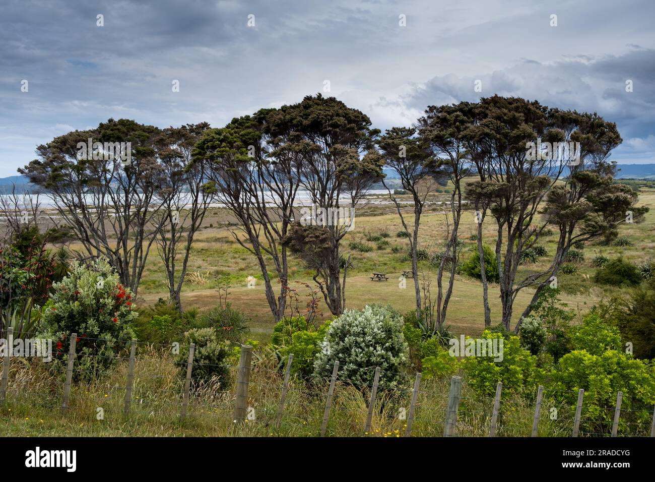 Duder Regional Park östlich von Auckland auf Neuseeland North Island. Der Duder Regional Park liegt an der Tāmaki Straße, im Hauraki Golf. Stockfoto