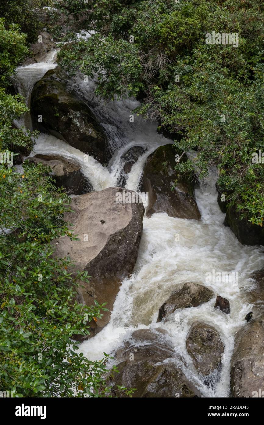 Die Stromschnellen am Waione Stream – eine Raststätte für Wasserfälle auf dem Pureora-Ongarue Timber Trail in der Nähe von Taumarunui in King Country, Nordinsel, Neuseeland. Stockfoto