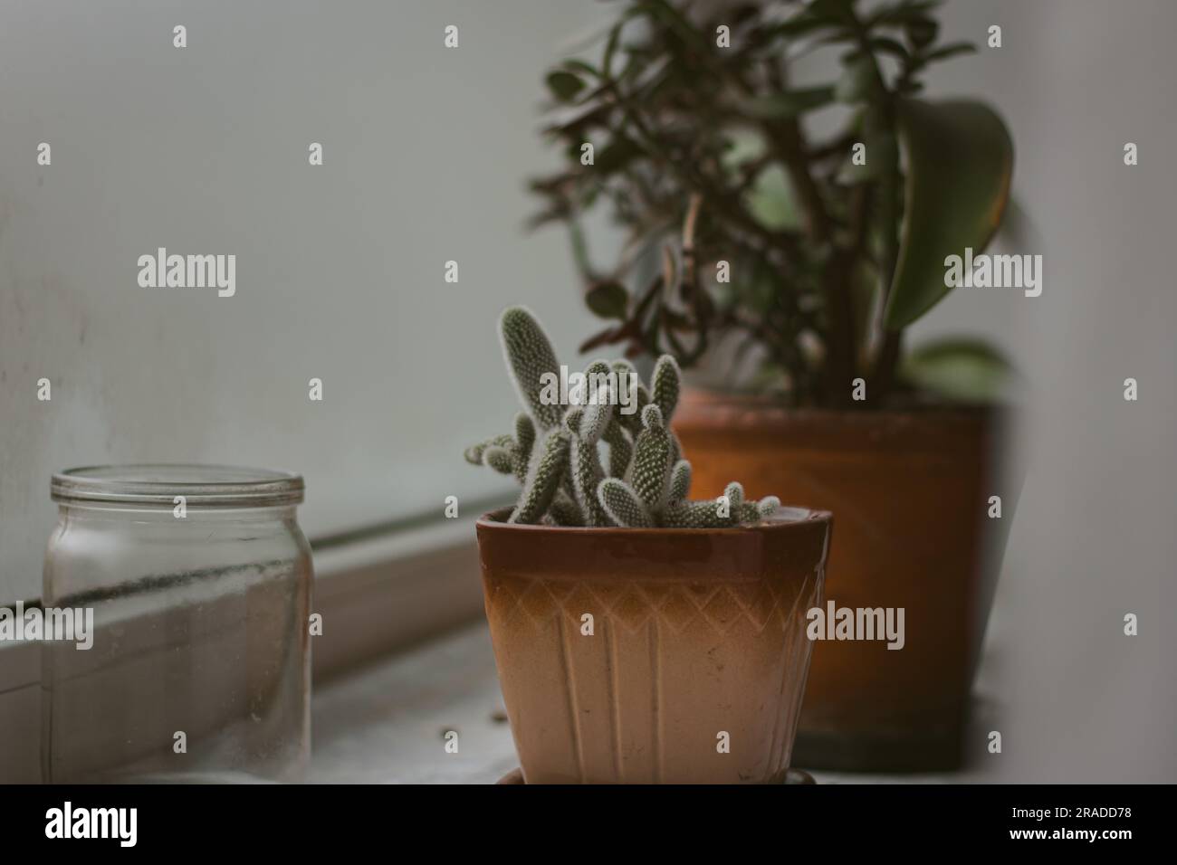 Misty Morning Stockfoto