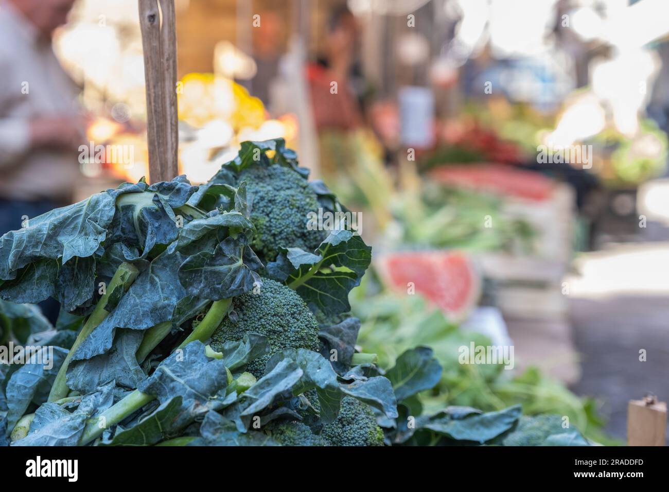 Broccoli Rabe auf einem Street Food Markt in Palermo Sizilien, Gemüsestand mit verschwommenem Hintergrund Stockfoto