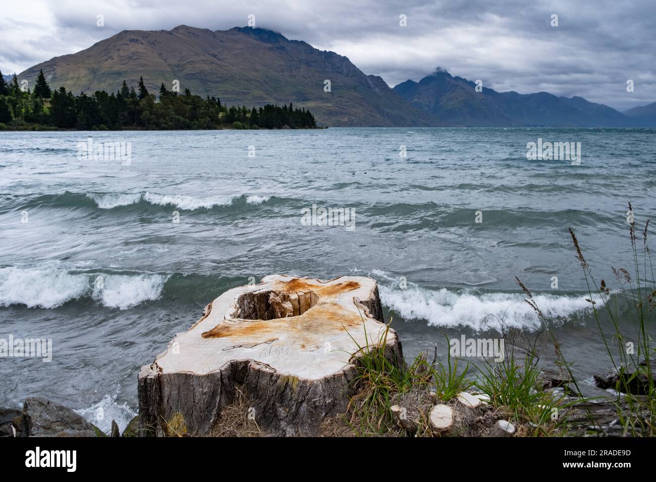 Der Strand und die Küste von Queenstown mit Blick auf Lake Wakatipu in der Nähe von Queenstown auf Neuseeland South Island. Foto: Rob Watkins Stockfoto