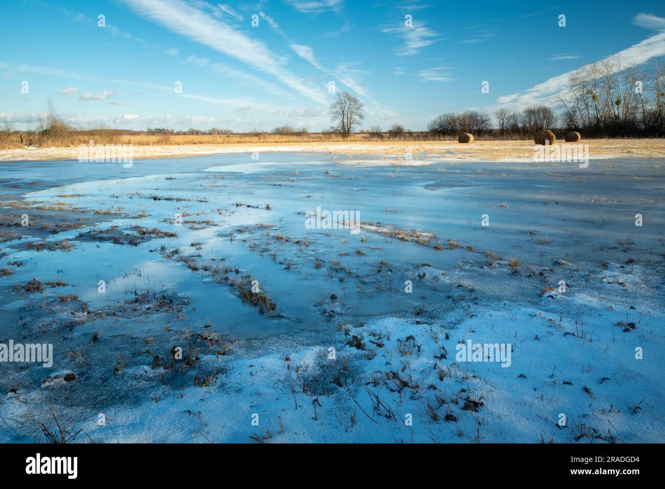 Gefrorenes Wasser auf der Wiese, Blick an einem sonnigen Wintertag, Ostpolen Stockfoto