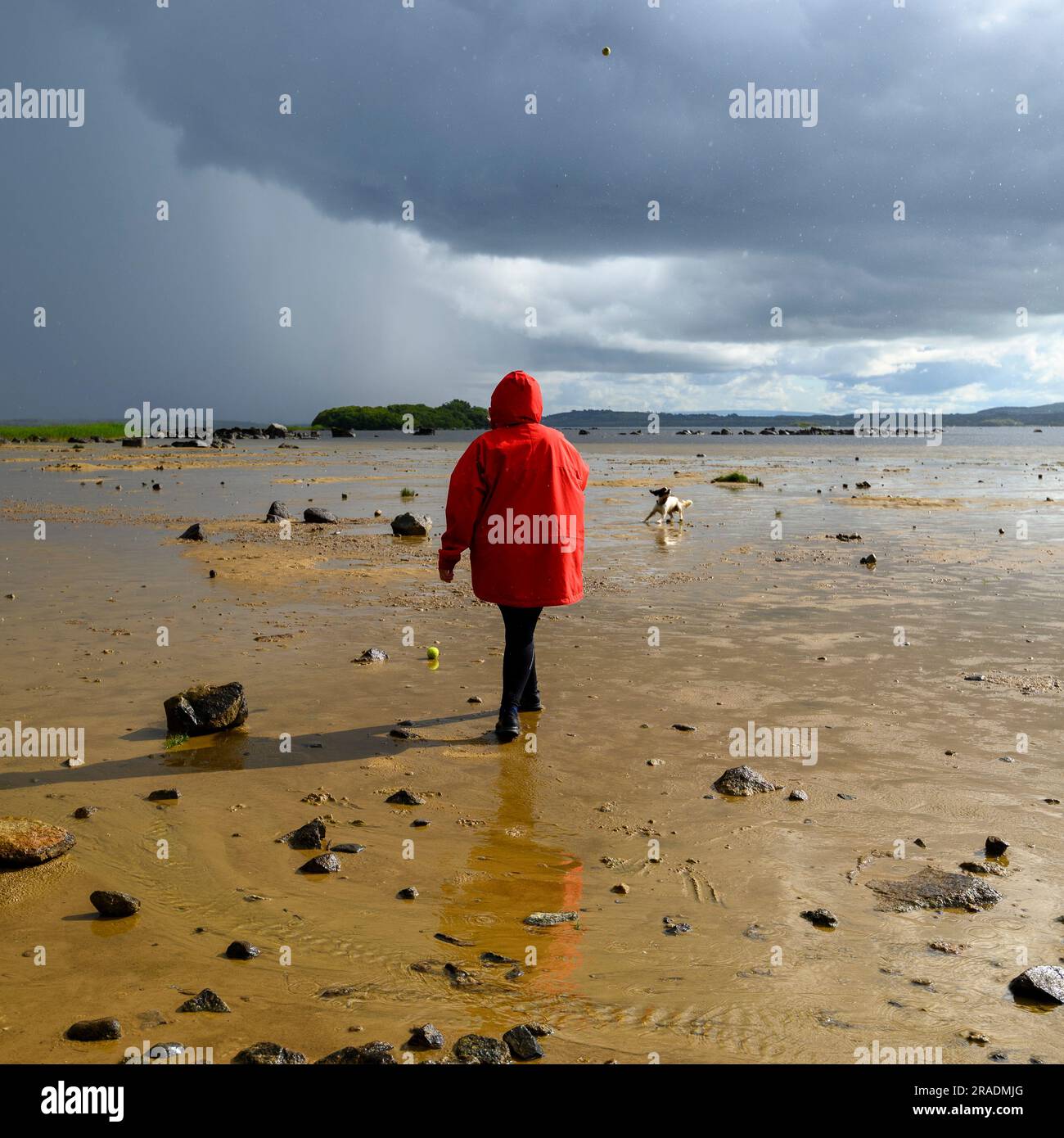 Eine Frau in einem roten Mantel, die einen Hund am Ufer von Lough Cullin, Pontoon, County Mayo, Irland mit Sturmwolken darüber trainiert Stockfoto