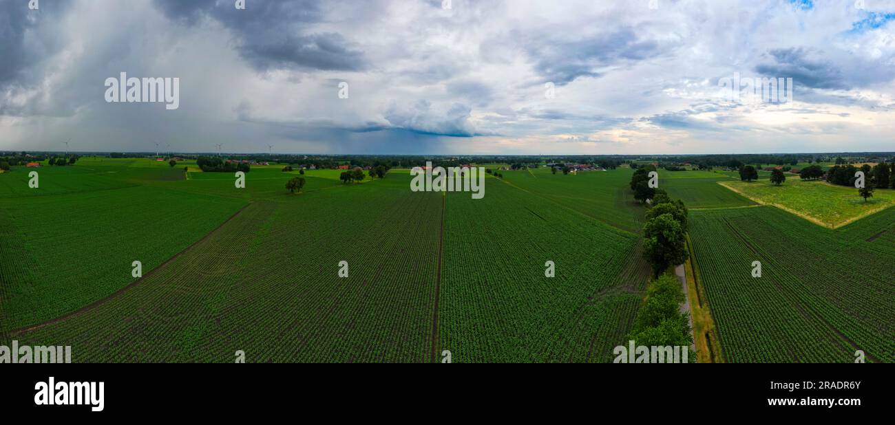 Panoramablick auf dramatische Sturmwolken über den Feldern der Farm. Landschaftslandschaft des schlechten Wetters. Sehr windiges Wetter. Einfaches Feld vor dem Hintergrund des dunklen Himmels und der sich bildenden Wolken. Hochwertiges Foto Stockfoto