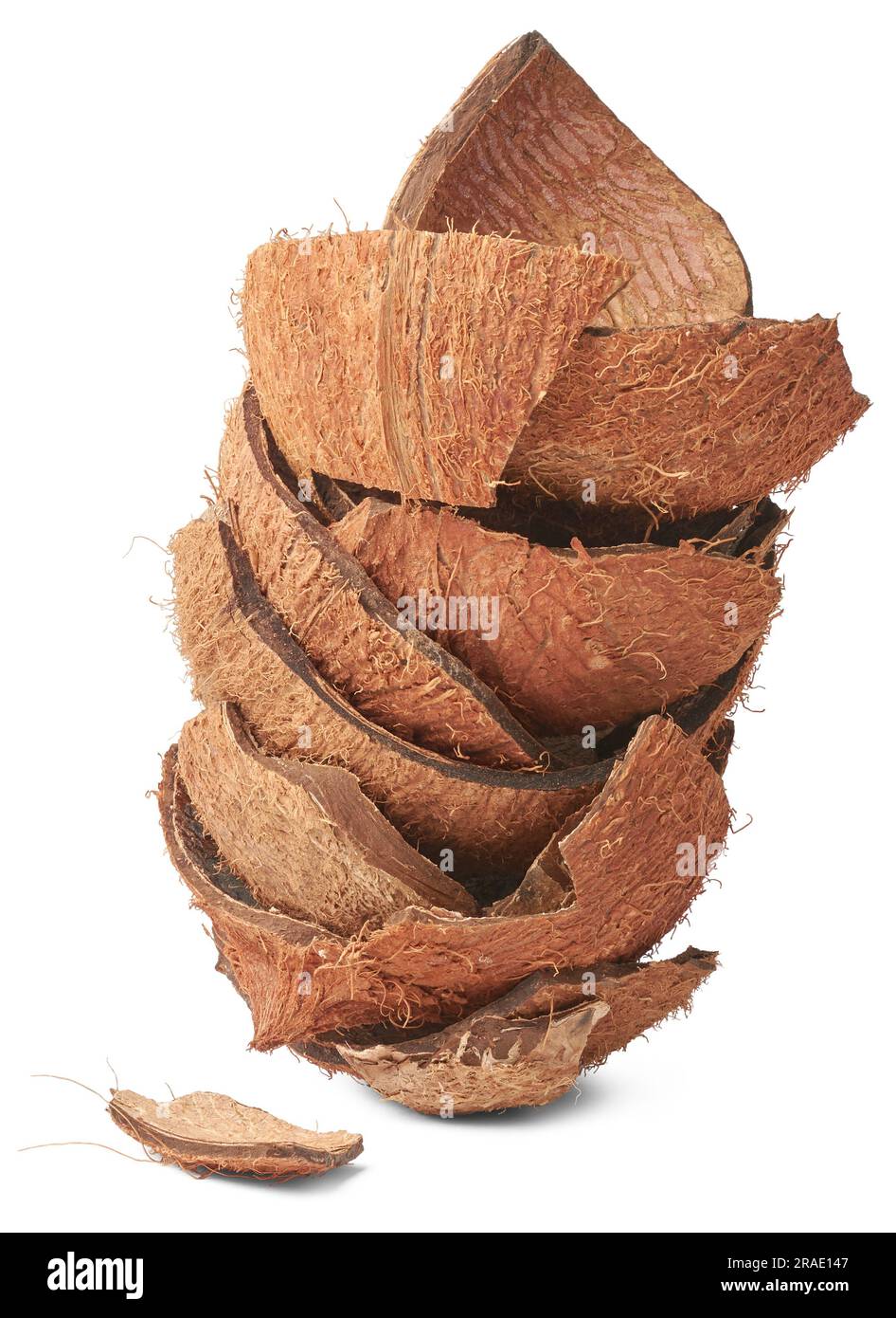 Teile von Kokosnussschalen, isoliert auf weißem Hintergrund, kommerziell wichtiges starkes und haltbares Fasermaterial, das als Brennstoff verwendet wird, erzeugen ha Stockfoto
