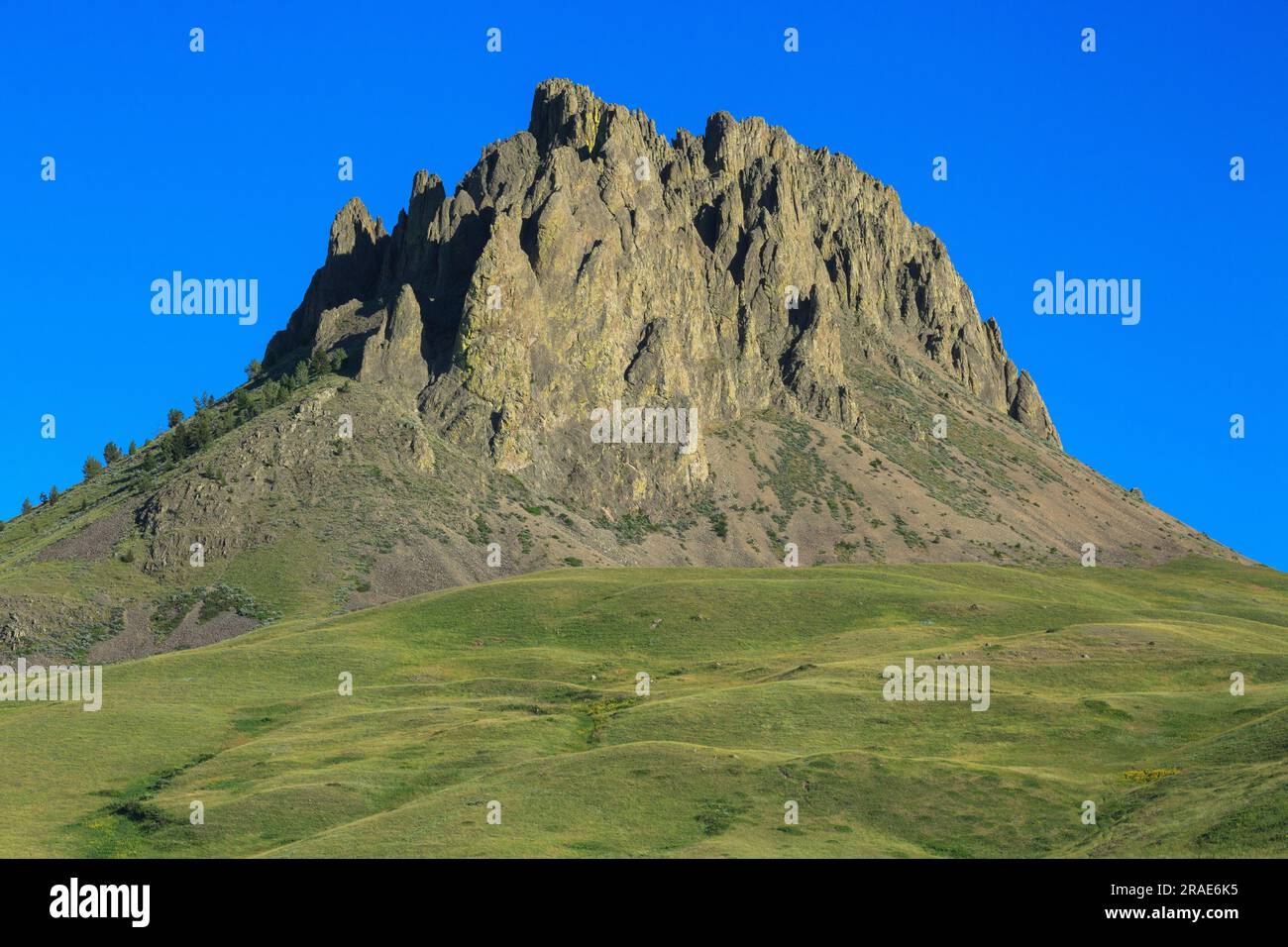 Birdtail butte steigen über die Wiese in der Nähe von Simms, Montana Stockfoto