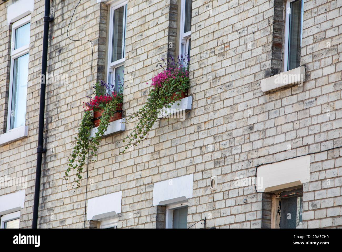 Wohnraum in der Stadt York, Großbritannien. Acomb, York. Stockfoto