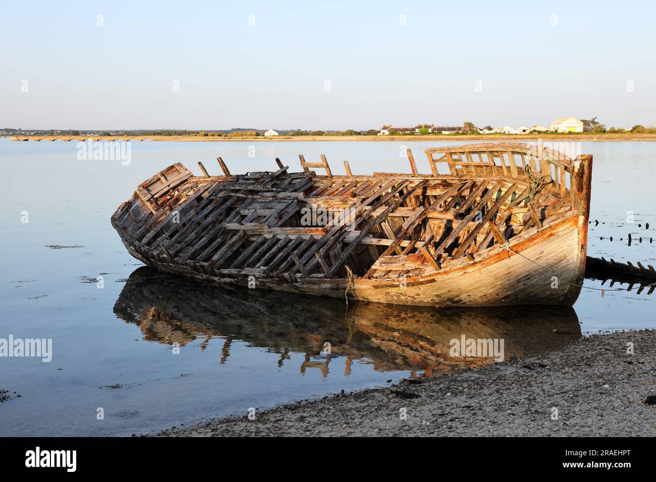 Old Boat Wreck beleuchtet von der untergehenden Sonne, Gavres, Bretagne, Morbihan, Frankreich Stockfoto