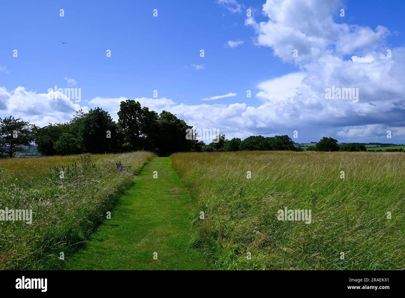 Das Haus der Binns West Lothian Stockfoto