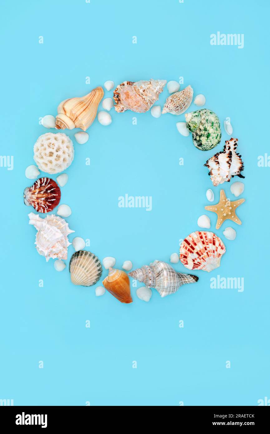 Shellfish wreath -Fotos und -Bildmaterial in hoher Auflösung – Alamy