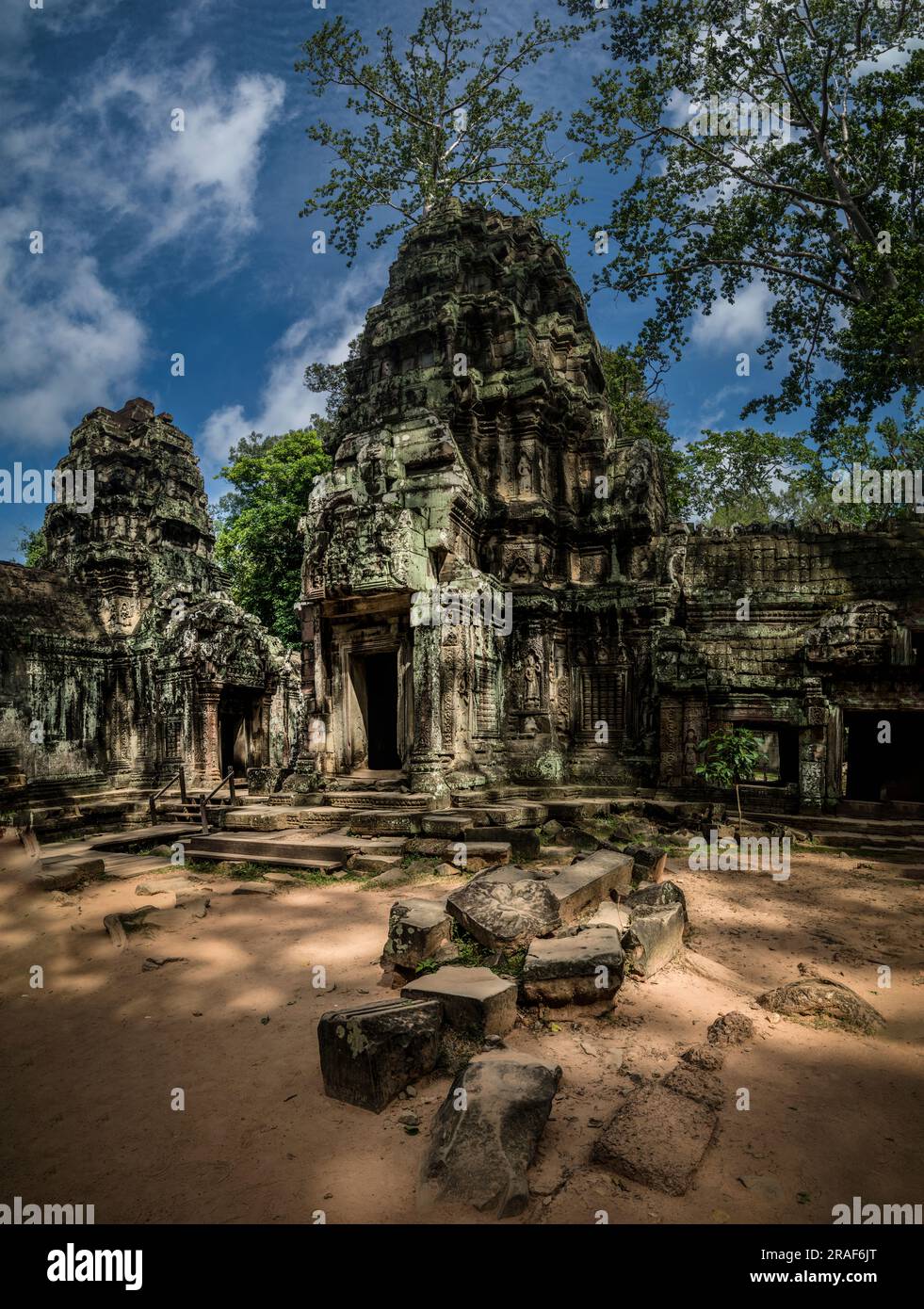 Templo Ta Prohm Camboya Angkor Wat Siem Reap Stockfoto