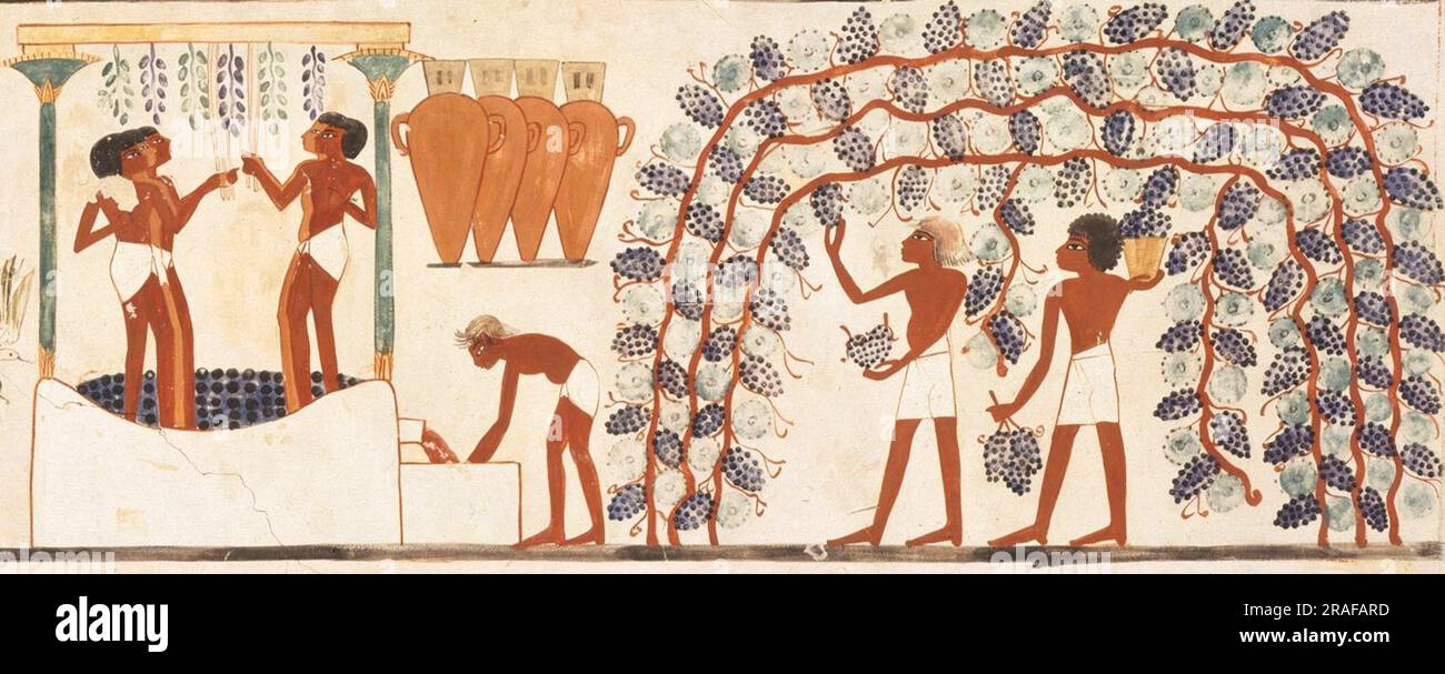 Nakht und Familie Fischen und Geflügel, Grab von Nakht 1390 v. Chr. vom alten Ägypten Stockfoto