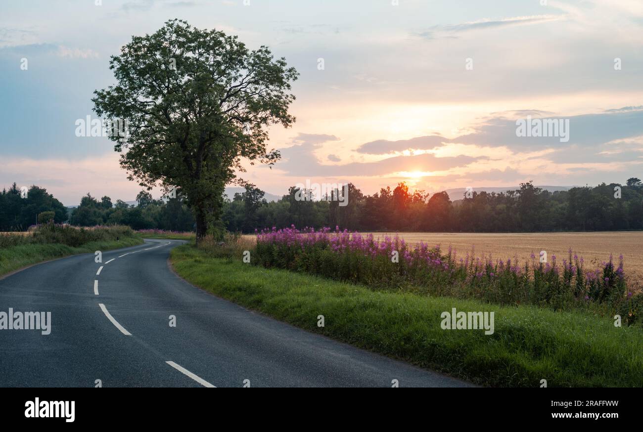 Schottische Straße in Aberdeenshire bei Sonnenuntergang während der Sommerzeit. Stockfoto
