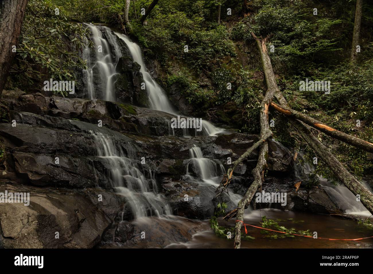 Laurel Falls im Great Smoky Mountains-Nationalpark Stockfoto