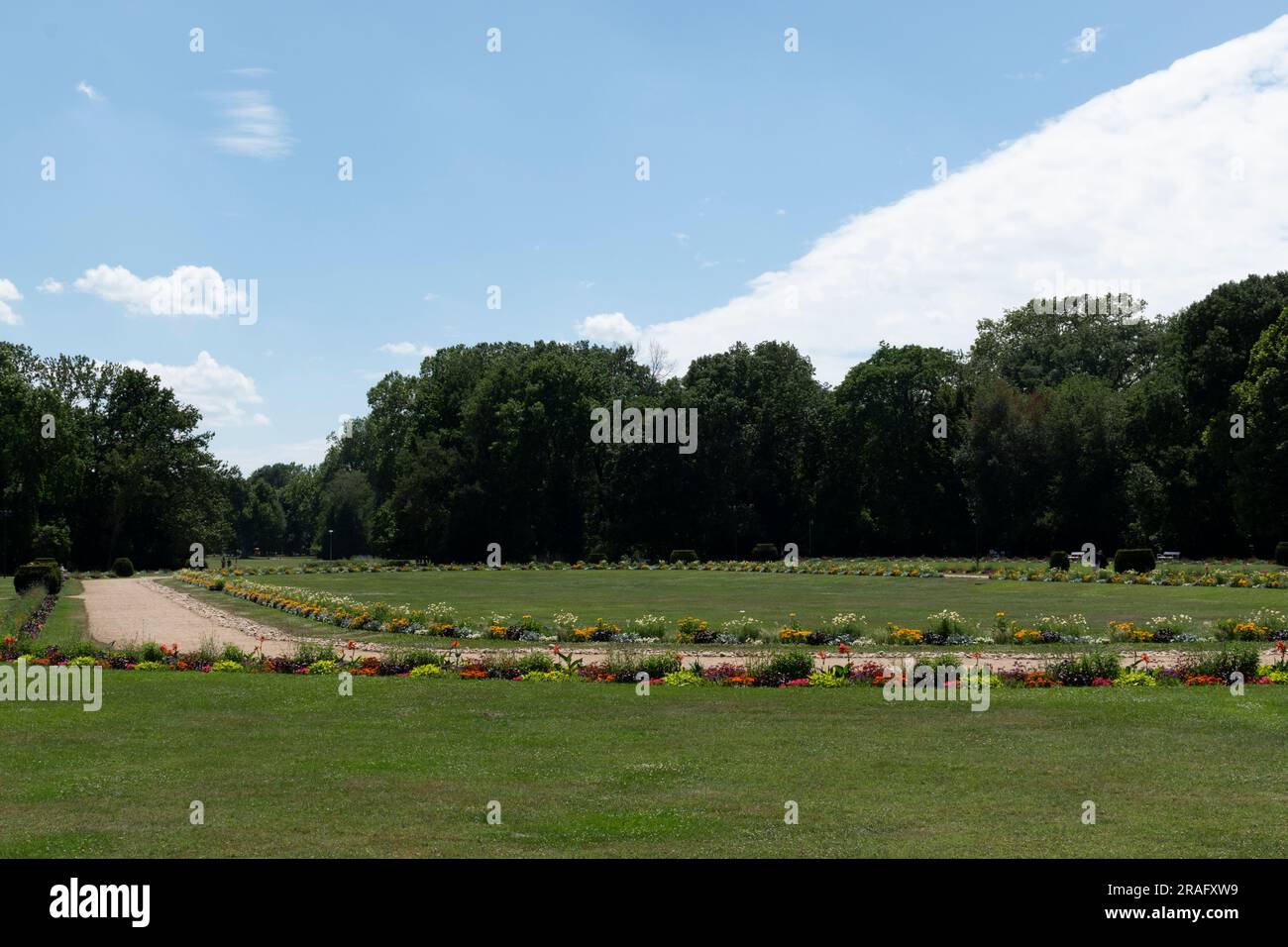 Park auf Margareteninsel - Budapest, Ungarn Stockfoto