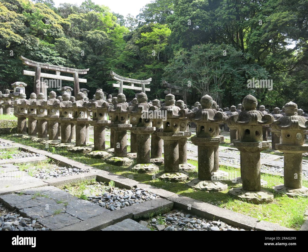 Reihen von mit Moos überzogenen Steinlaternen, fast 500 Stück, schaffen eine spirituelle Atmosphäre für die Grabstätte der Feudalherren im buddhistischen Tokoji-Tempel. Stockfoto