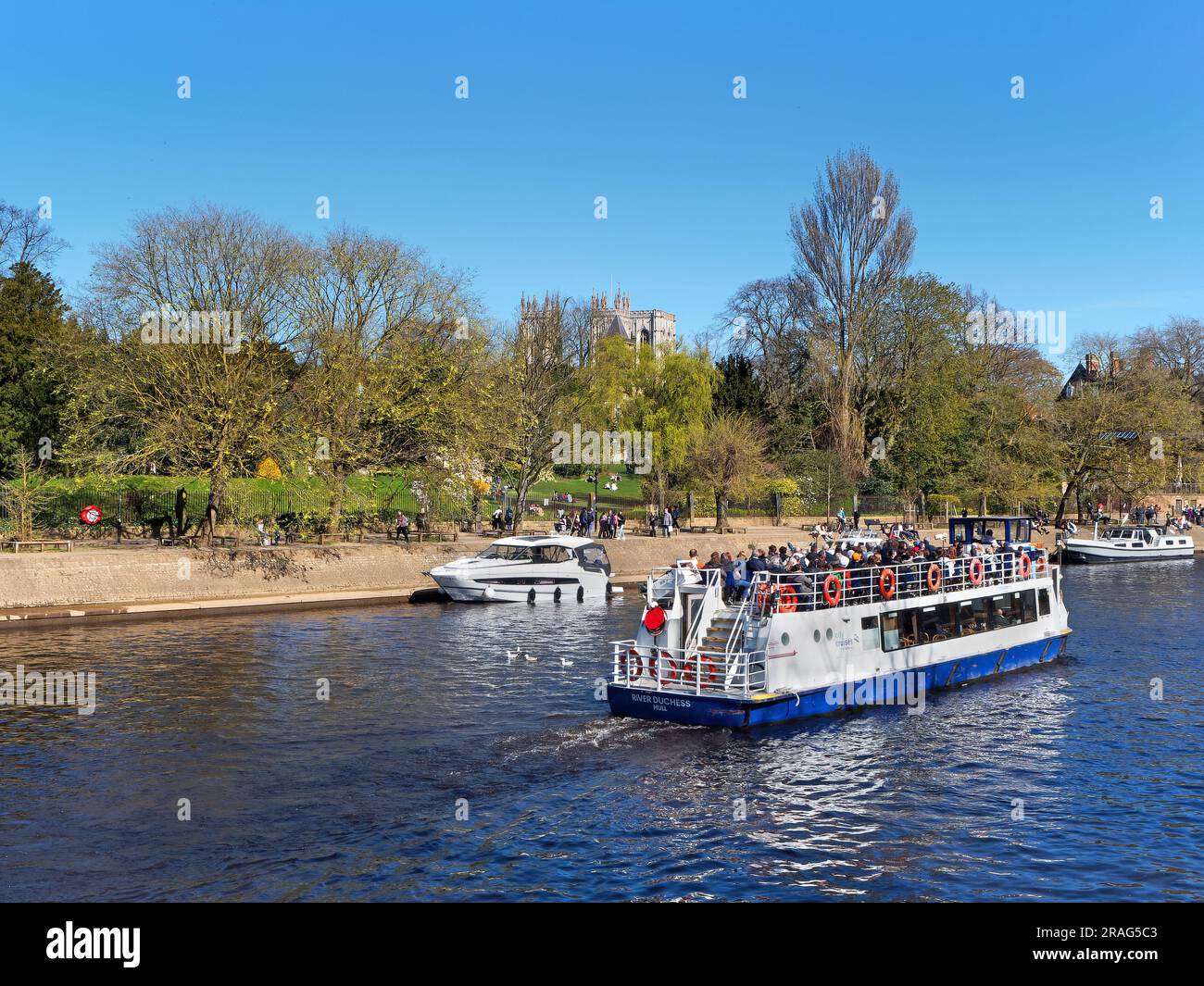 Großbritannien, North Yorkshire, York, Museum Gardens und Boote auf dem Fluss Ouse mit York Minster in der Ferne. Stockfoto