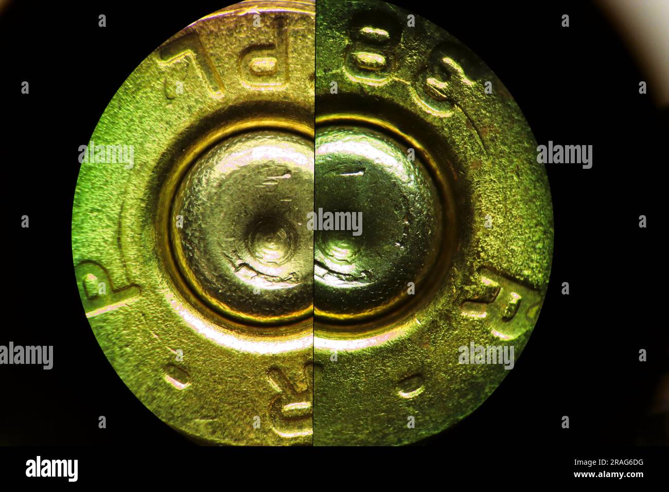 Mikroskopischer Vergleich der Kartuschen Stockfoto