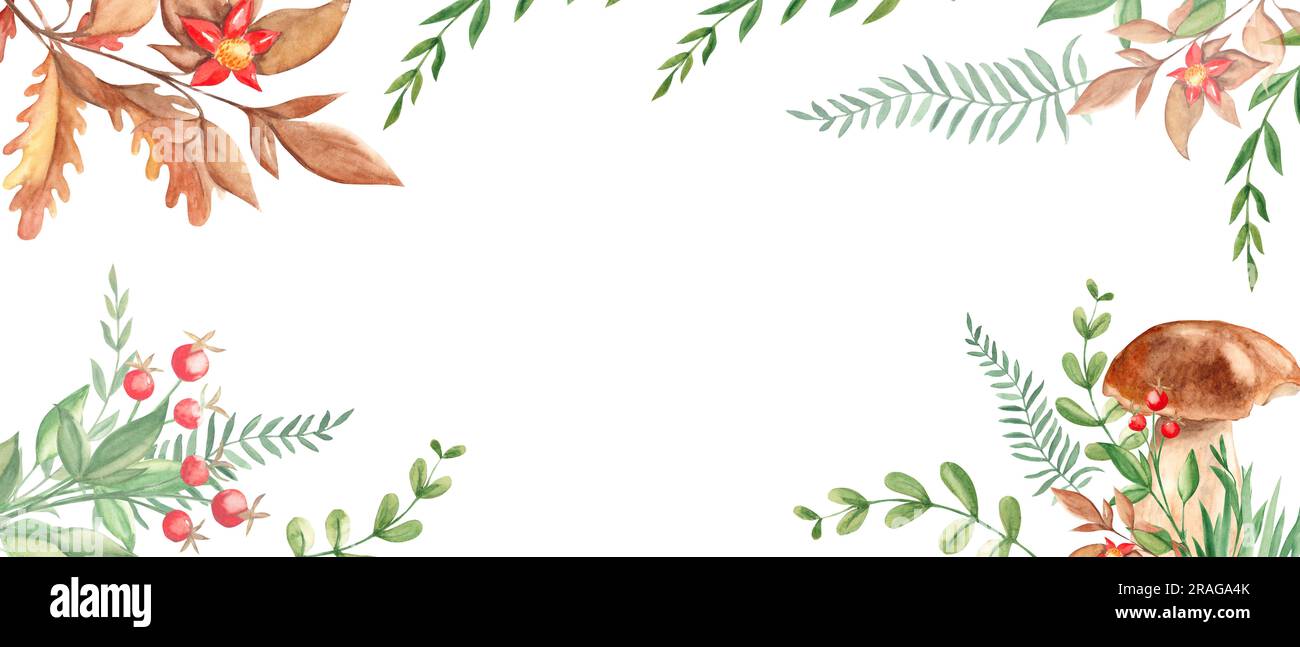 Steinpilze, grüne Äste, rote Beeren, Eichenblätter, Wildblumen. Aquarell, horizontales Banner, Rahmen. Botanische Illustration. Perfekt als Netz Stockfoto