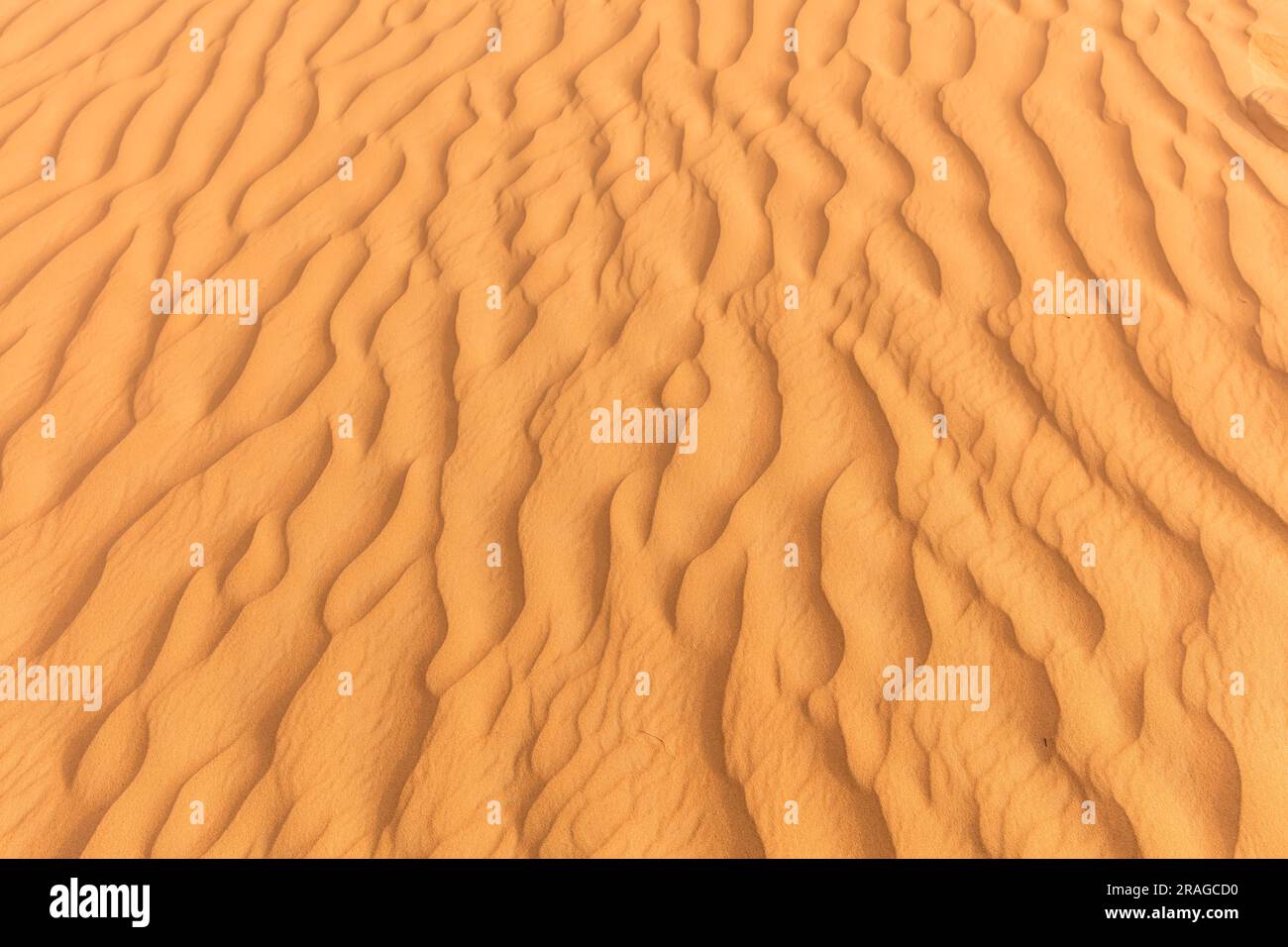 Wellenlinien auf der arabischen Halbinsel der Sandwüste Stockfoto