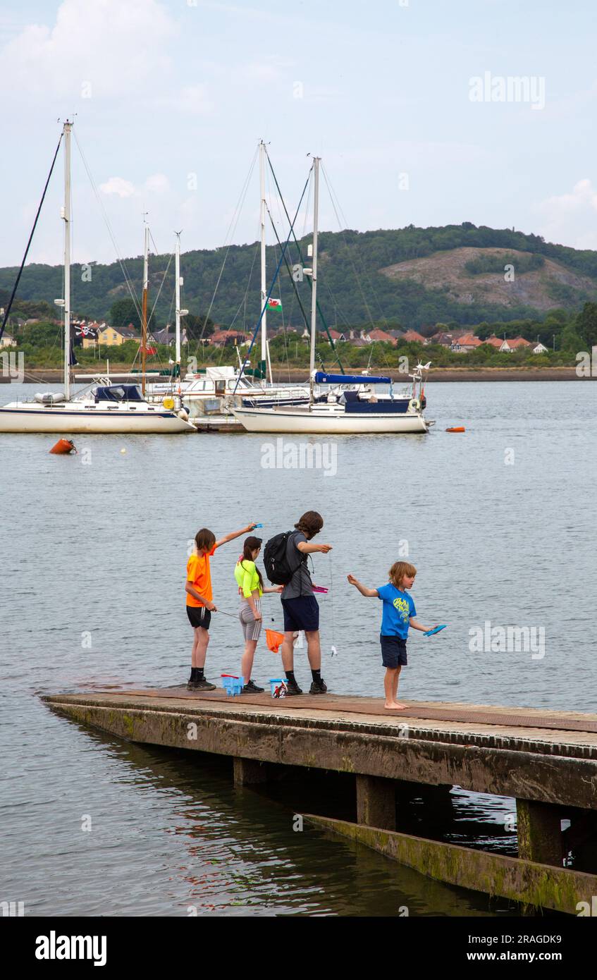 Kinder genießen einen Tag am Meer beim Fischen von Krabben vor dem Hafen im North Wales Resort in Conway Stockfoto