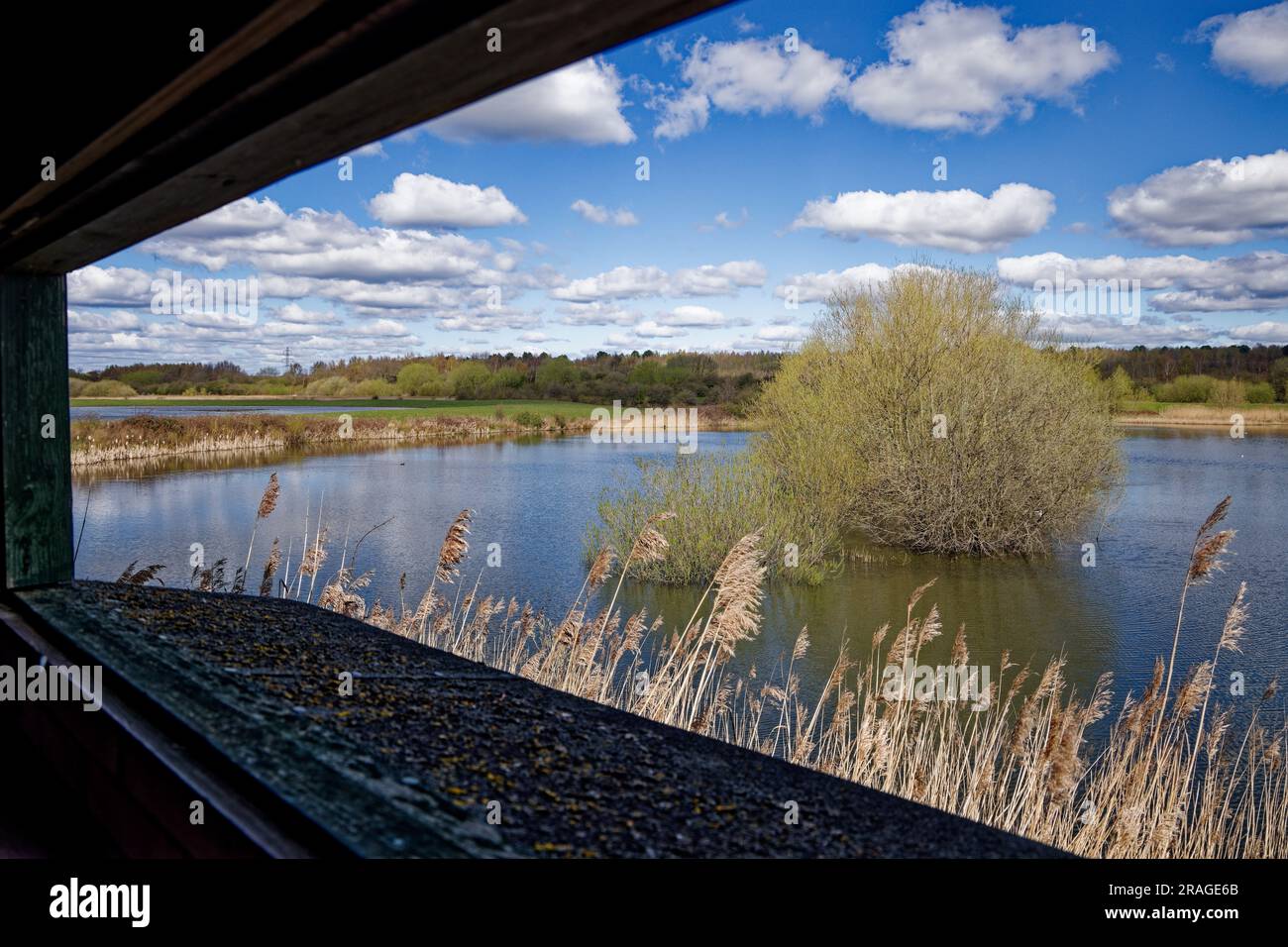 Blick aus dem Versteck in den Old Moor Wetlands, Dearne Valley Stockfoto