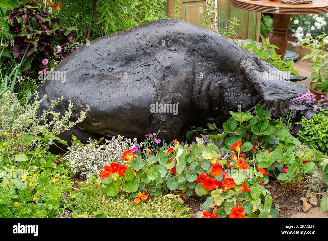 East Molesey, Surrey, Großbritannien. 3. Juli 2023. RHS Allotments Garden, The Pig Hotel: A British Kitchen Garden at the RHS Hampton Court Palace Garden Festival, entworfen von Ollie Hutson. Kredit: Maureen McLean/Alamy Live News Stockfoto