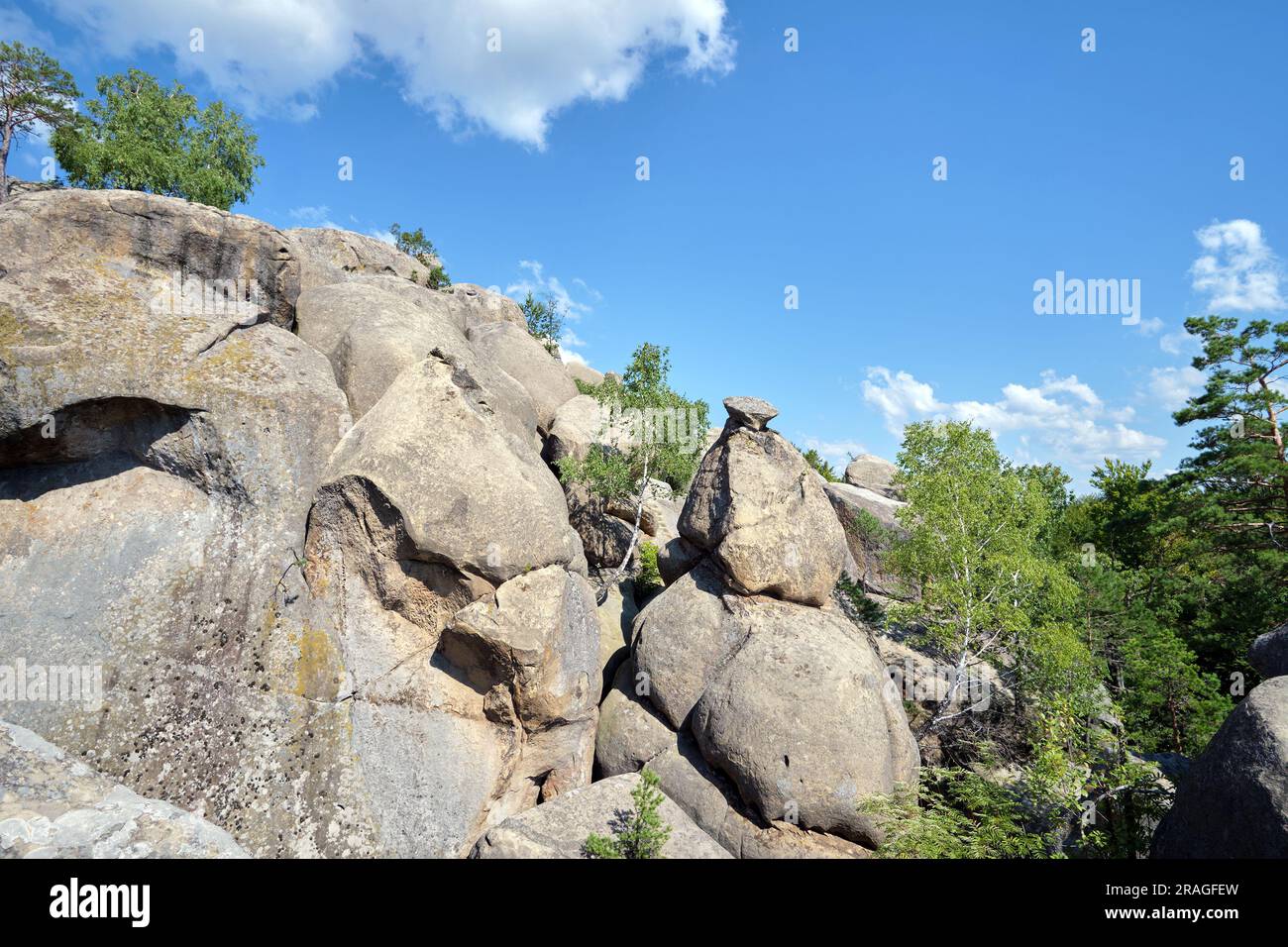 Riesige Felsformationen hoch in den Bergen mit wachsenden Bäumen an sonnigen Sommertagen. Stockfoto