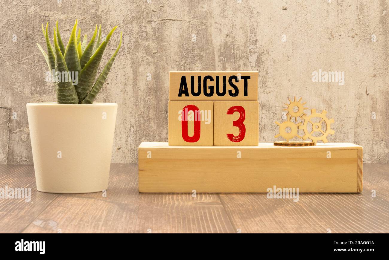 Figur eines Holzmannes, Kaktus im Topf, Holzwürfel mit der Inschrift vom 3. August. 3. August auf weißem Hintergrund.Fotos für den Feiertag und die Veranstaltung.S Stockfoto