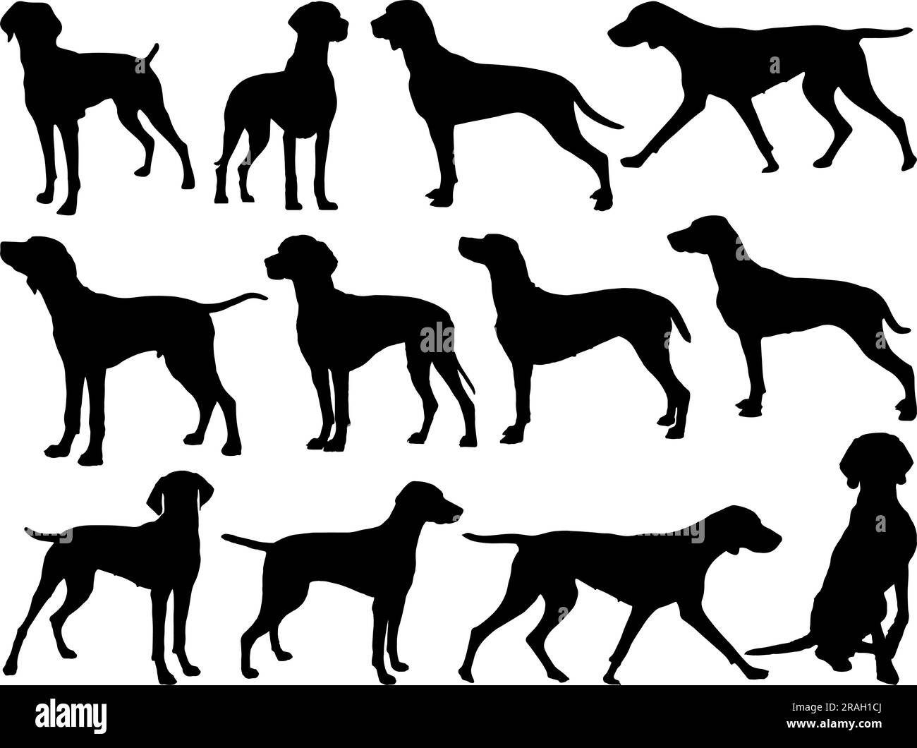 Set von Vizsla Dog Silhouette Stock Vektor