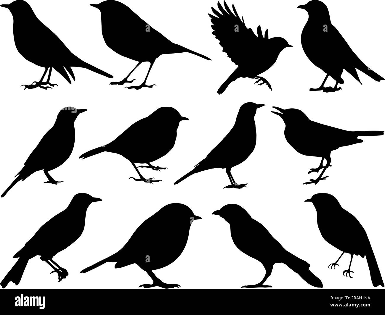 Ein Satz Robin Bird Silhouette Stock Vektor
