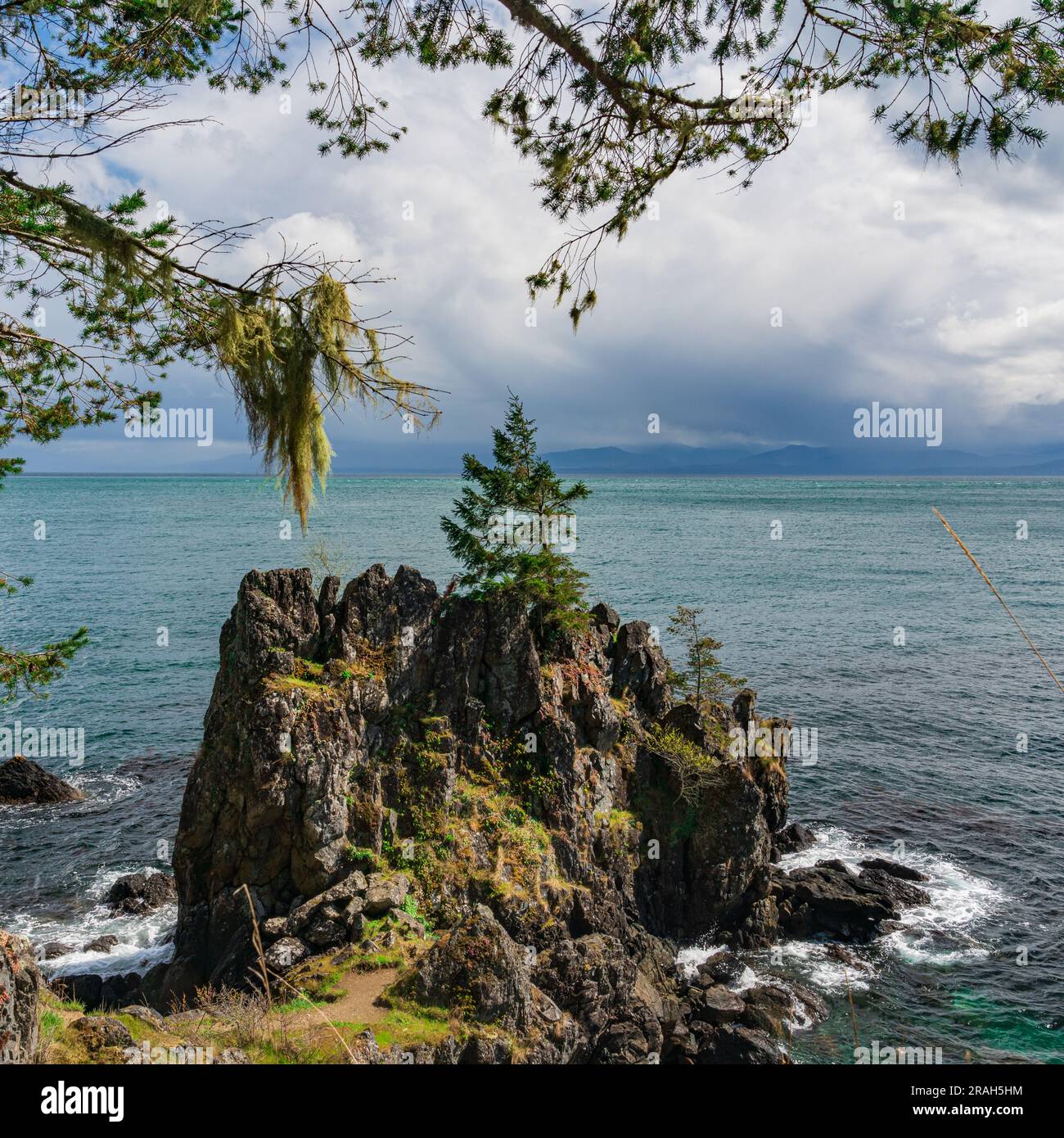 Die felsige Küste von Vancouver Island am Creyke Point im East Sooke Regional Park, British Columbia, Kanada. Stockfoto
