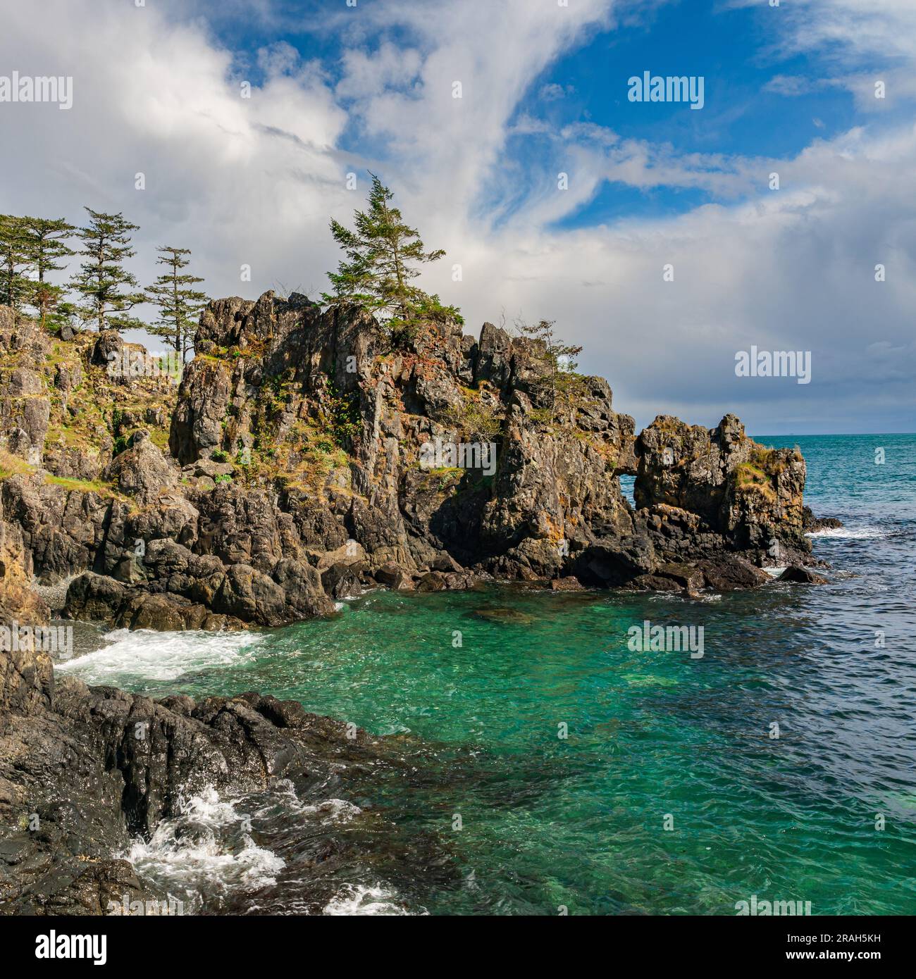 Die felsige Küste von Vancouver Island am Creyke Point im East Sooke Regional Park, British Columbia, Kanada. Stockfoto