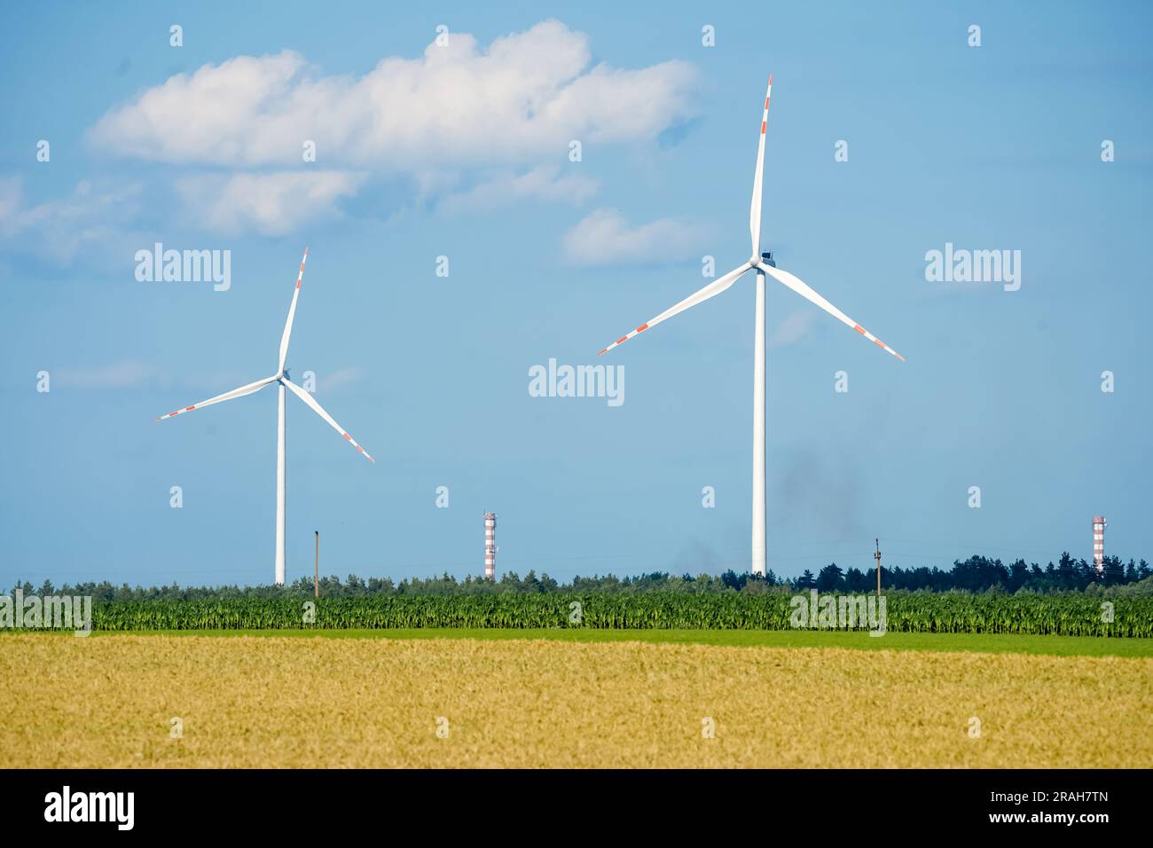 Windturbinen auf dem Feld. Erneuerbare Energiequellen. Turbinen für Stromerzeuger. Mühlen auf dem Feld. Energie und Macht. Stockfoto