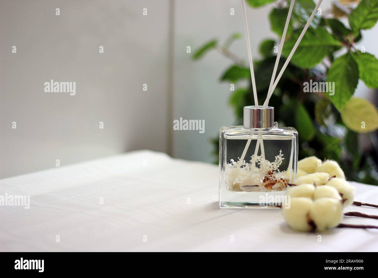 Klarglasdiffusor mit Meeresschalen und Baumwollduft Stockfoto