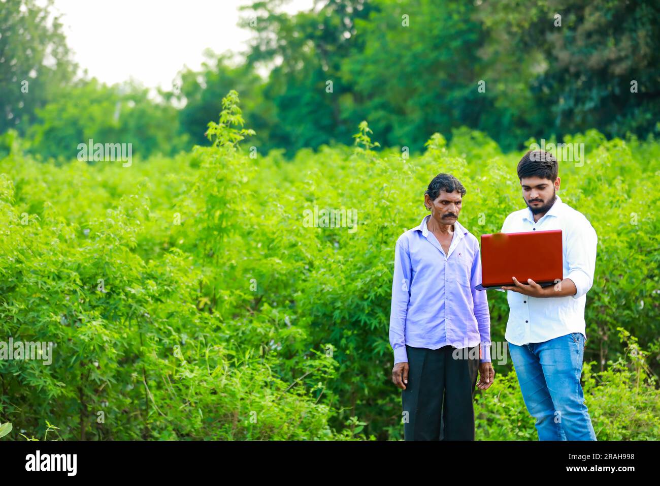 Indischer Bauer mit Laptop, intelligente Landwirtschaft Stockfoto