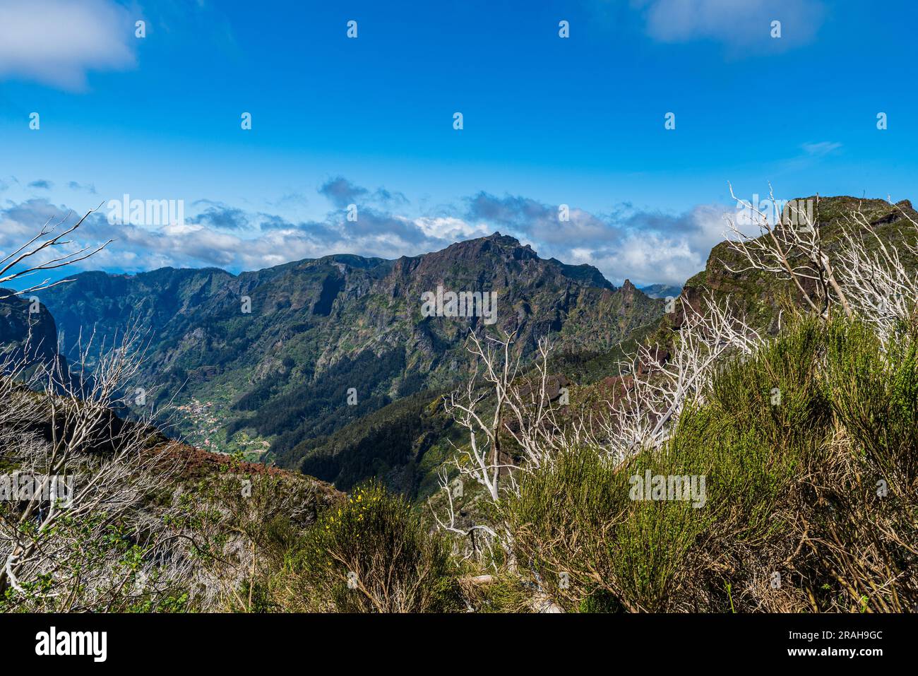 Blick vom Vereda do Encumeada Wanderweg zwischen Pico Ruivo und Encumeada in Madeira während des wunderschönen Frühlings Stockfoto