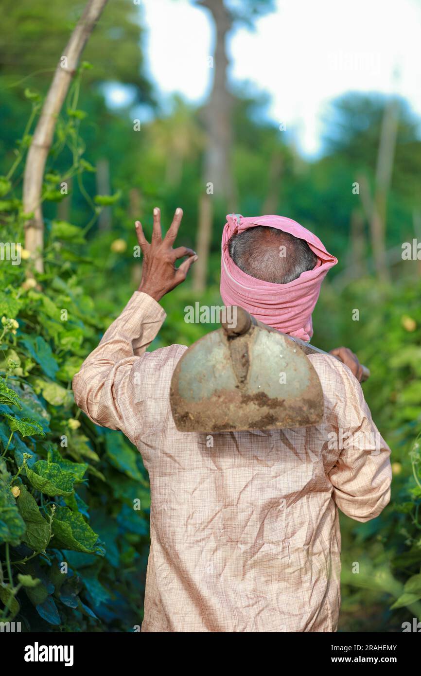 Indische Landwirtschaft glücklicher Bauer mit Schweinebank auf der Farm, armer Bauer, Bauer rettet, Bauer zeigt Ausstellungsstücke Stockfoto