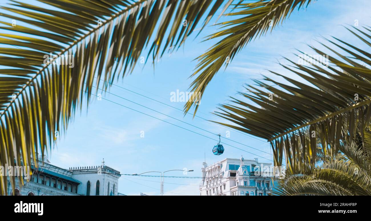 Farbenfrohe Aussicht Durch Palmenblätter Auf Der Seilbahn Cableway Argo In Batumi, Adjara, Georgia. Heller Blauer Himmel. Sonniger Herbsttag Stockfoto