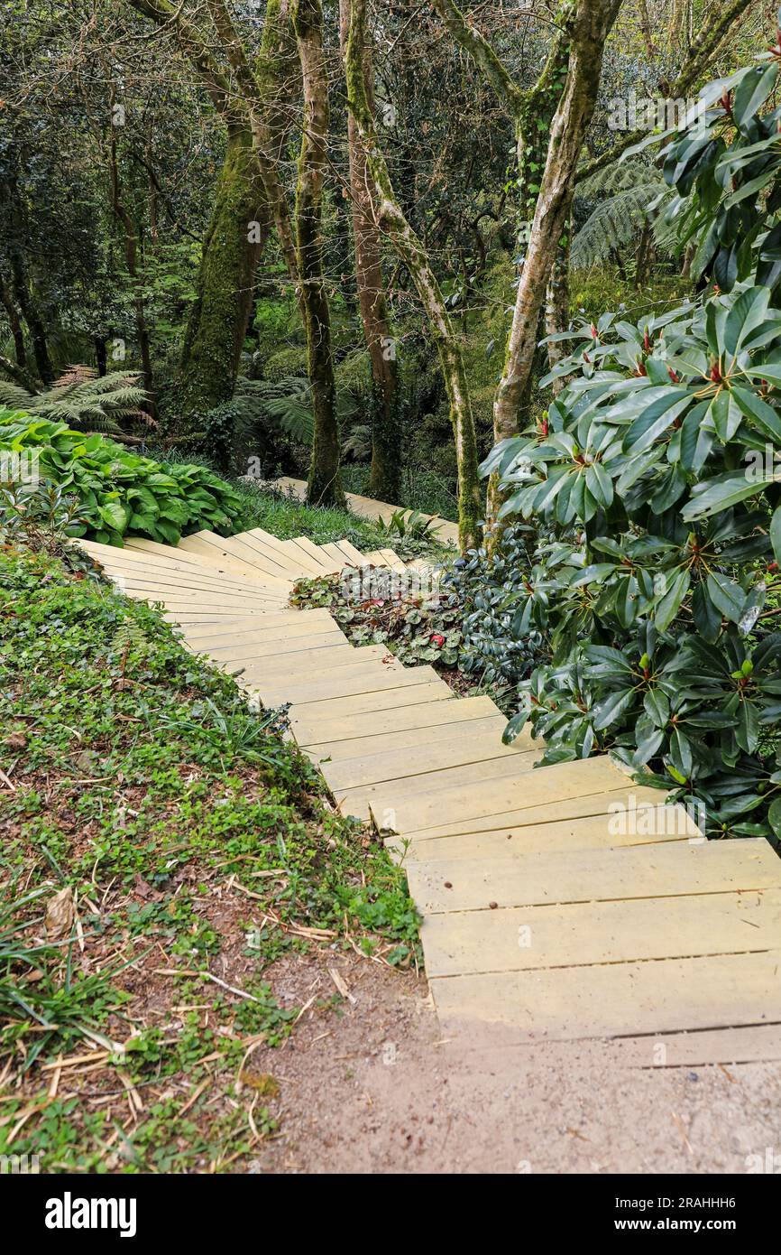 Tremenheere Sculpture Gardens in der Nähe von Penzance, Cornwall, England, Großbritannien Stockfoto