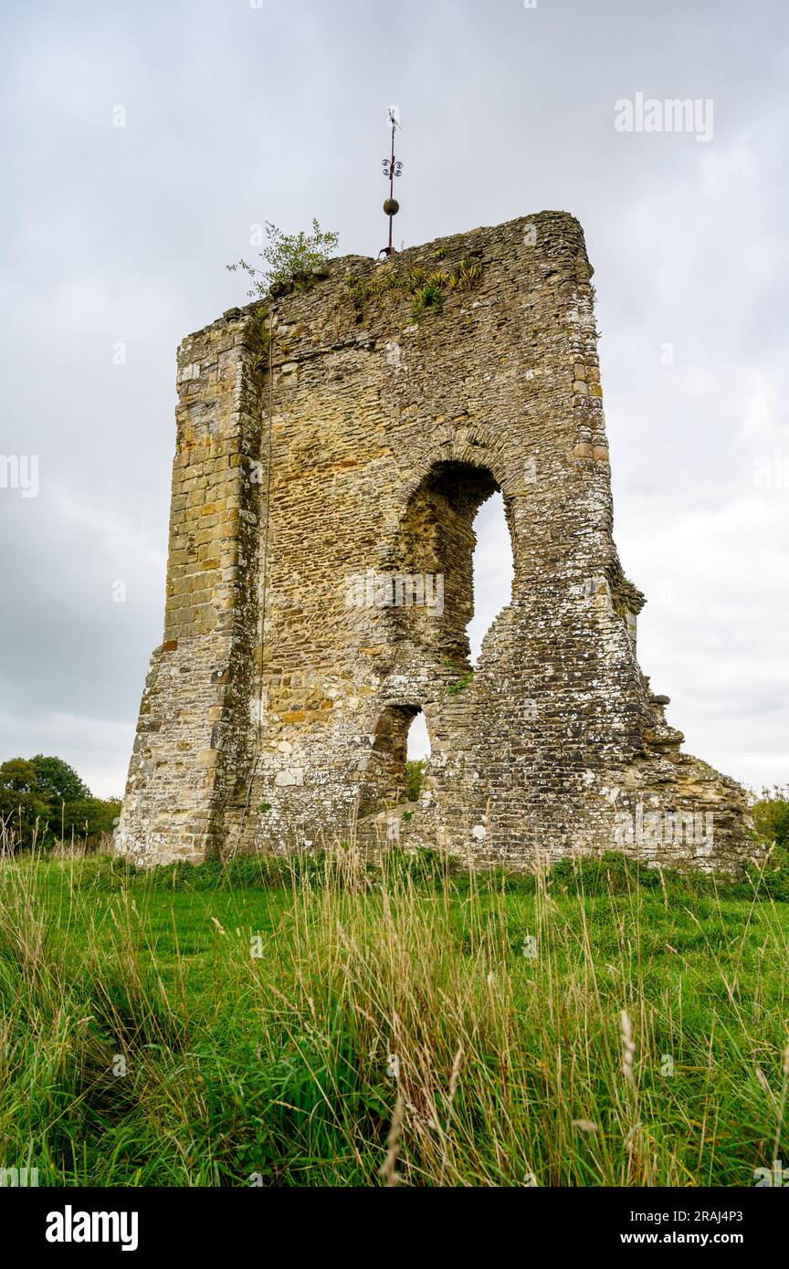 Die Überreste des mittelalterlichen Knepp Castle aus dem 12. Jahrhundert in West Sussex, England. Stockfoto