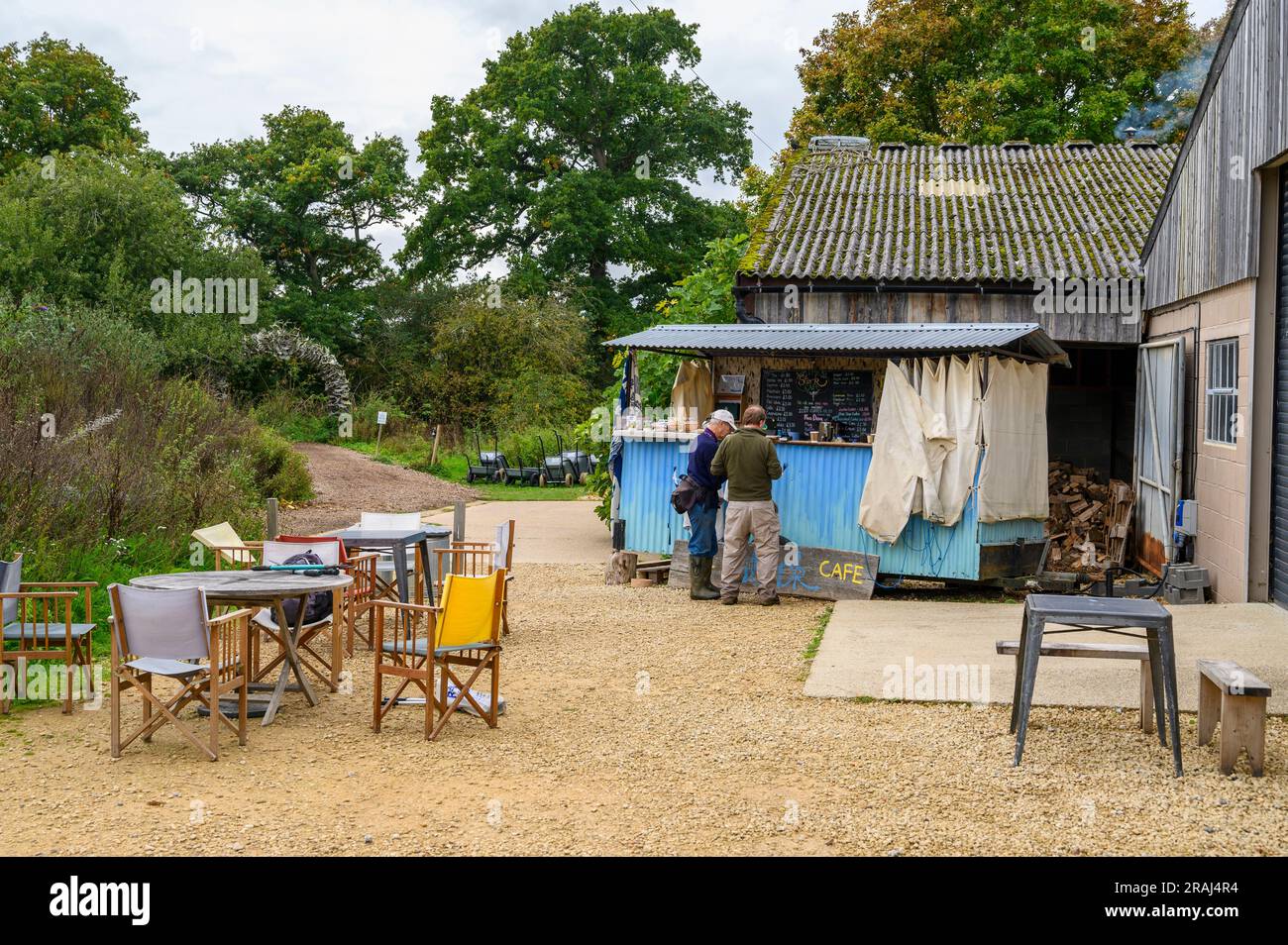 Zwei Besucher werden im rustikalen Stork Café in Knepp Wildland des Knepp Estate in West Sussex, England, serviert. Stockfoto