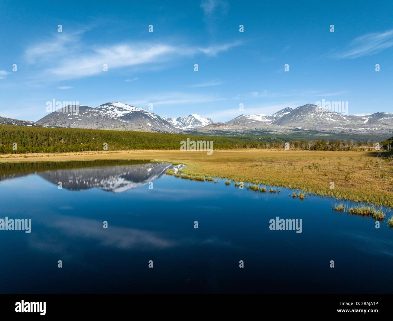 Wunderschöne ruhige Landschaft im Rondane-Nationalpark, Norwegen im Sommer Stockfoto