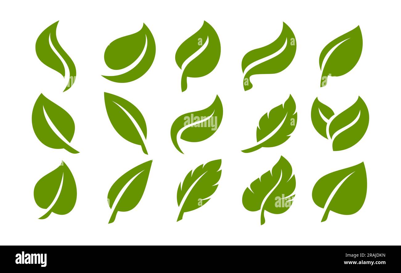 Satz einfacher, flacher organischer Blattschablone. Grüne, natürliche Leaf-Symbolgruppe. Stock Vektor